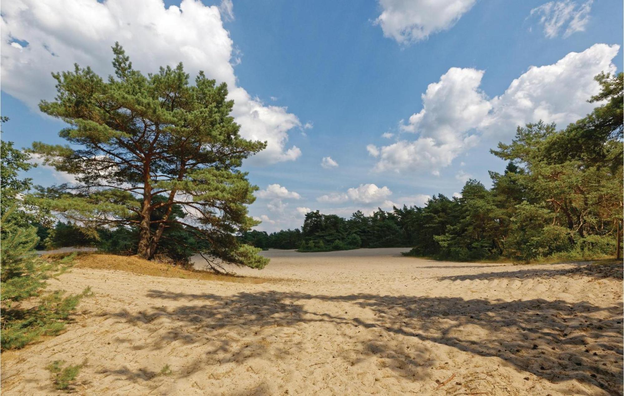 Villa Weidemanssheide Ommen Esterno foto