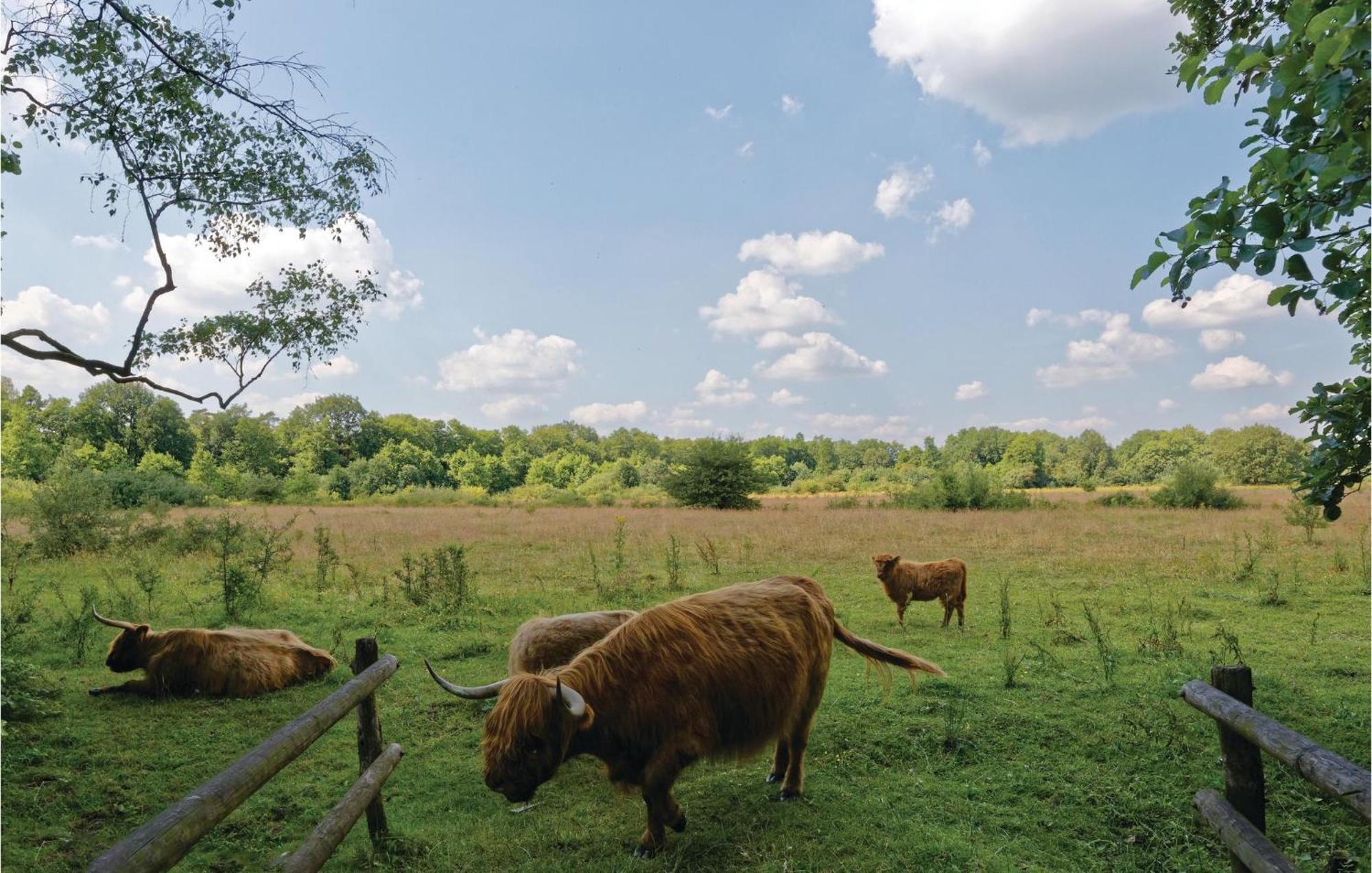 Villa Weidemanssheide Ommen Esterno foto